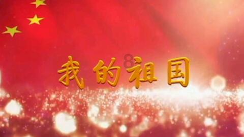 200L自动码垛灌装机 柴油灌装机